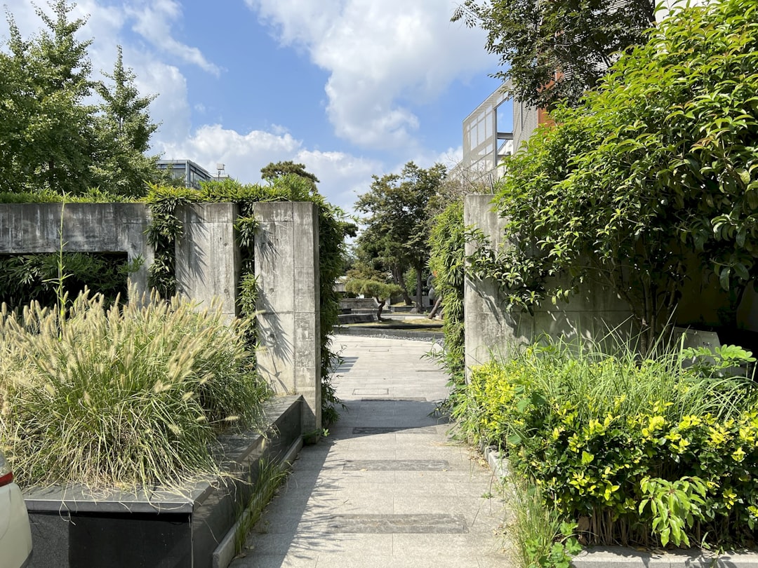 Art Park