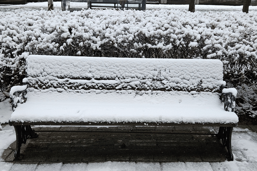겨울에 가면 좋은 일본 여행지