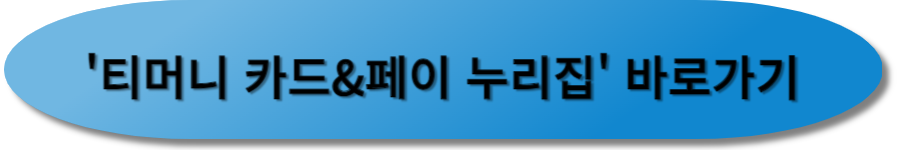 티머니 카 드&페이 누리집
