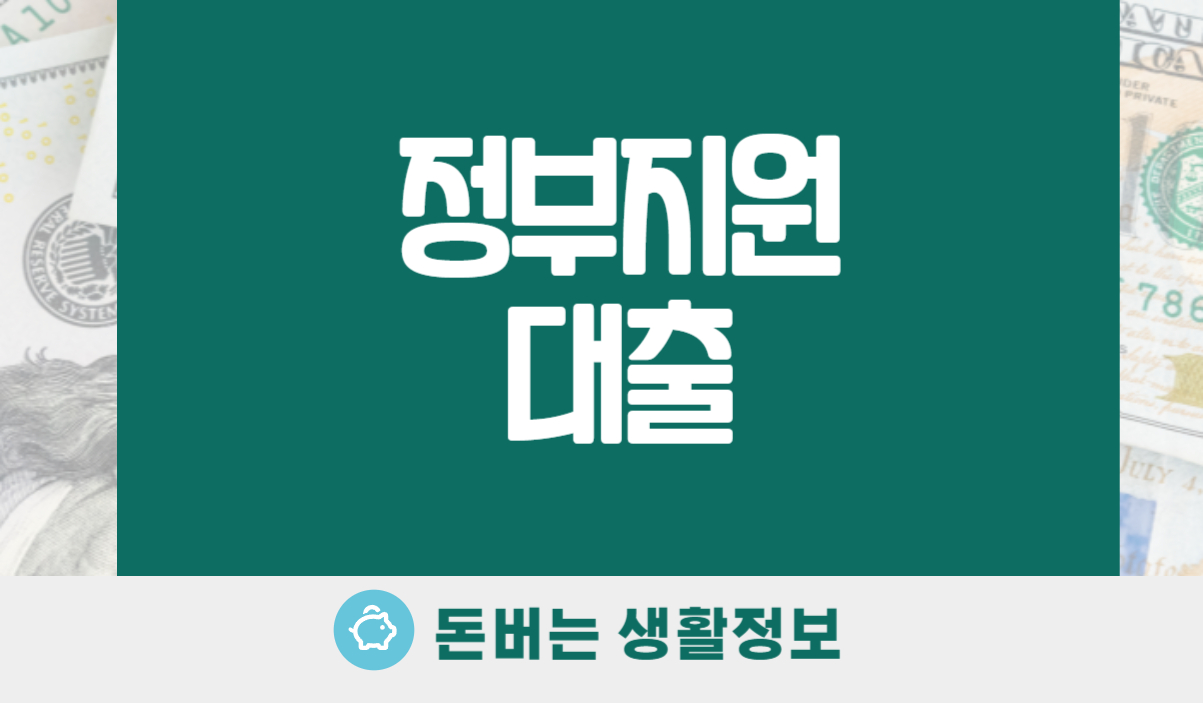 정부지원 대출