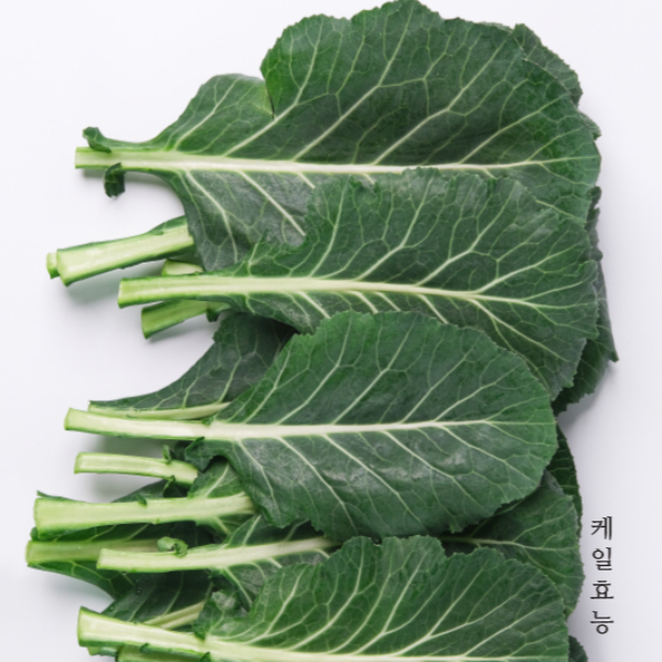 케일 효능 : 케일 효능 알고 드세요!