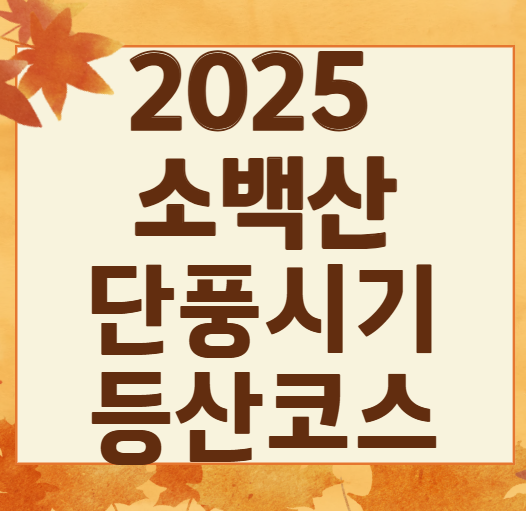 2025 가을 소백산 단풍 절정 &amp; 등산코스 가이드 ❘ 비로봉·천동 코스·주차장 정보