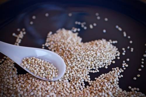 퀴노아(Quinoa)
