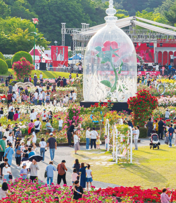 2024 울산대공원 장미축제 주차장 위치, 행사일정, 축제장 지도보기