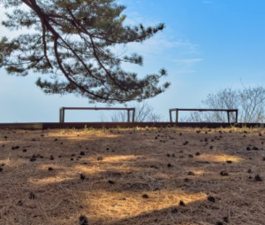 경기도 차박하기좋은곳 TOP 10곳