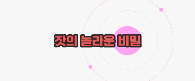 잣 효능 한 번 정리해볼까요