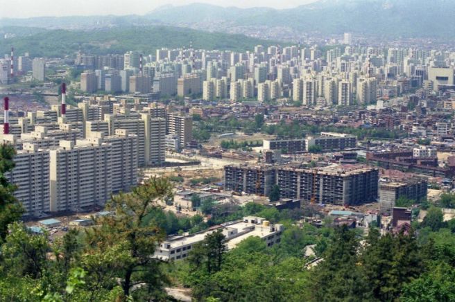 전세계약 특약 문구