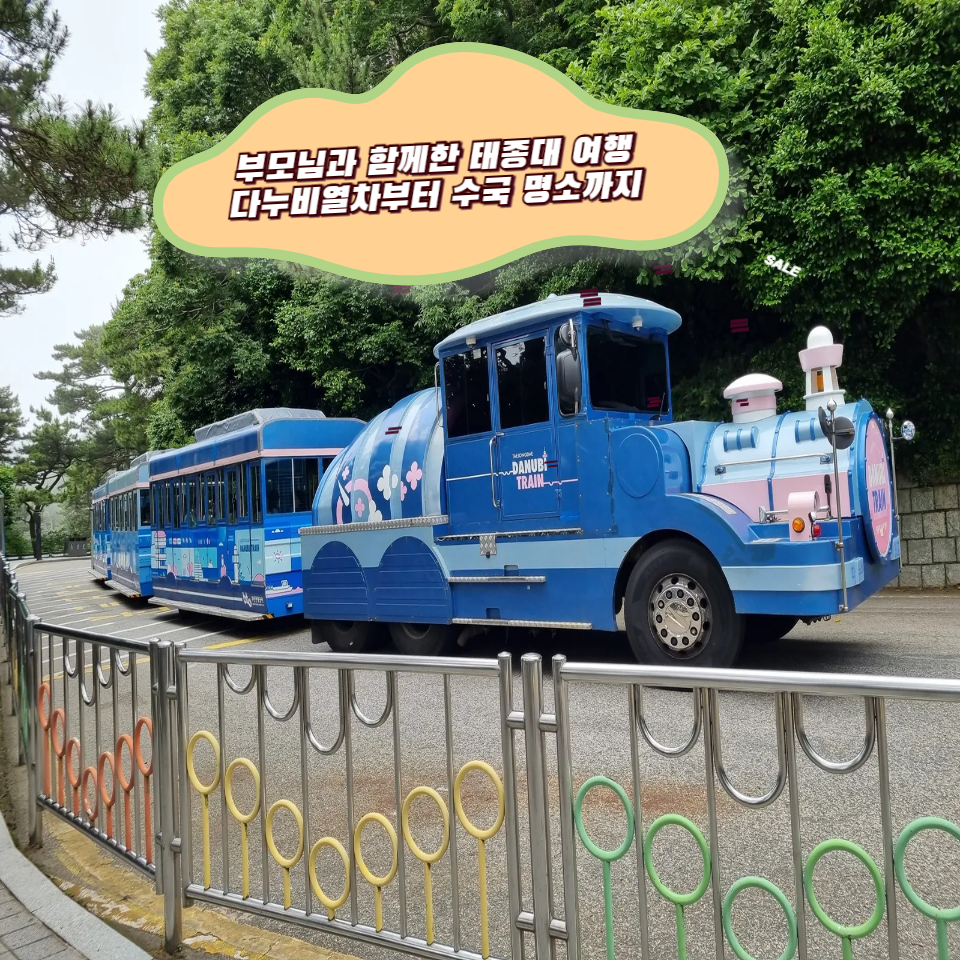 부산 태종대 폭염 여행 리얼후기🌊 여름 필수템 8가지 추천