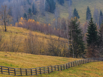 농지연금 가입조건 수령액 계산 총정리