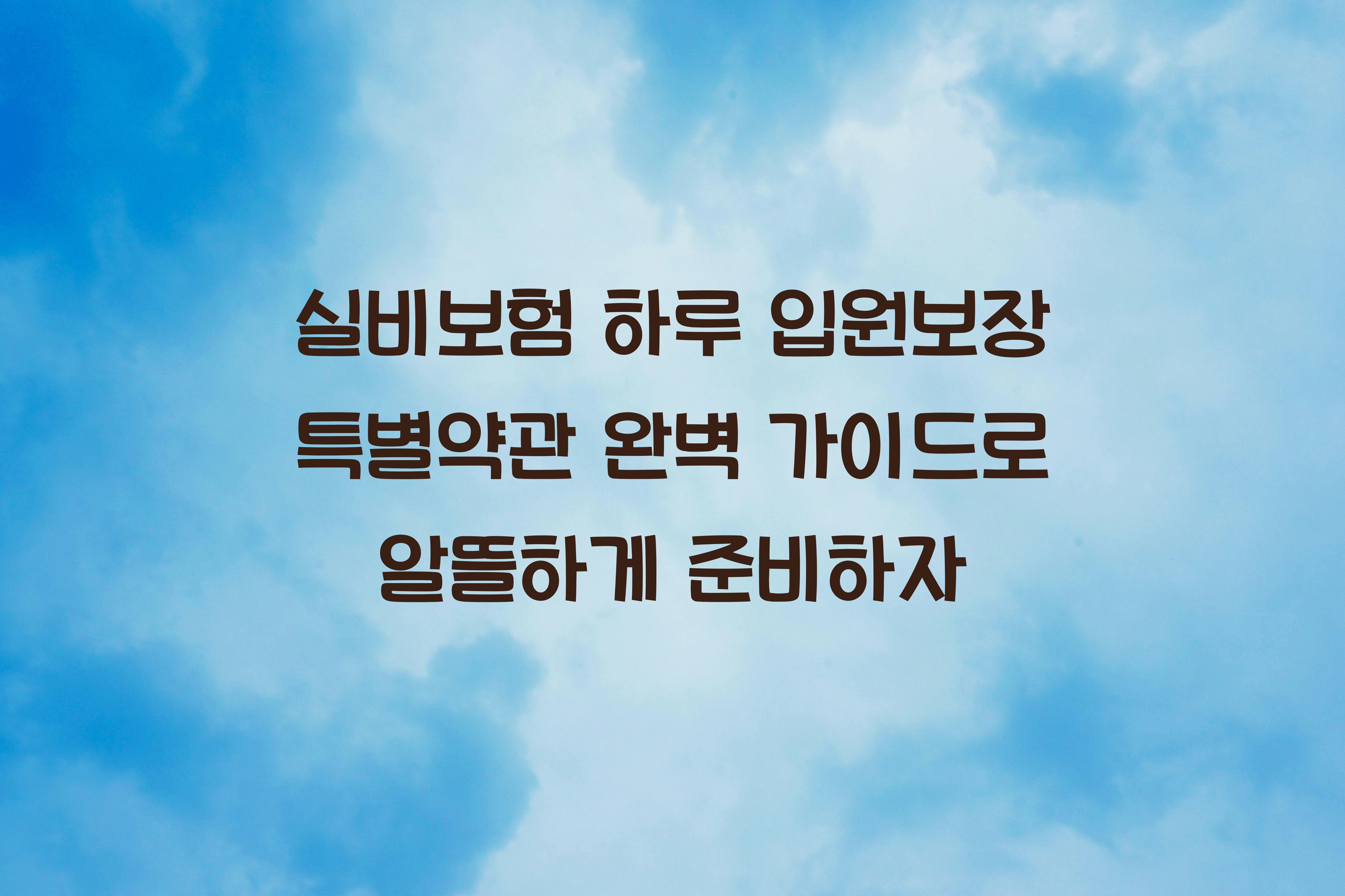 실비보험 하루 입원보장 특별약관
