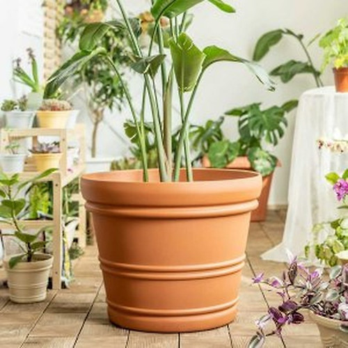 토분과 플라스틱 화분의 장점