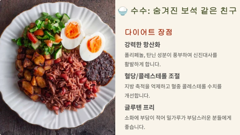수수 다이어트의 장점을 설명한 인포그래픽