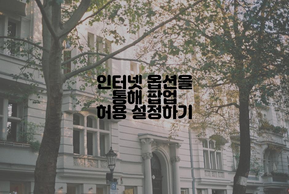 인터넷 옵션을 통해 팝업 허용 설정하기