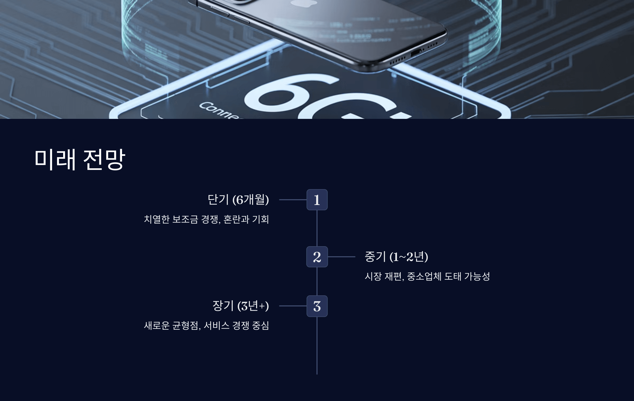 미래 전망