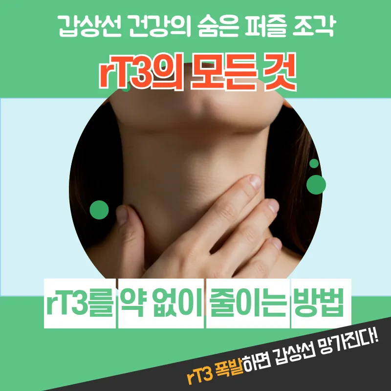 rT3의_모든_것