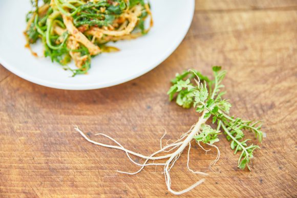 봄나물의-종류와-사진을-소개합니다.-봄나물의-종류로는 냉이-달래-쑥-미나리-등이-있습니다