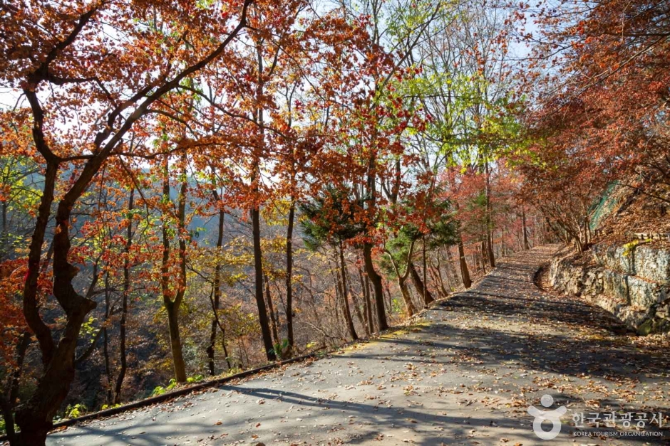 가을 단풍 여행 지도(3) - 충청도 - 장태산&amp;#44; 대둔산&amp;#44; 신성리갈대밭&amp;#44; 보발재&amp;#44; 문광저수지&amp;#44; 말티재 추천지 6곳!!3