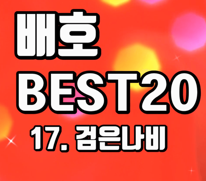 배호 - 검은 나비