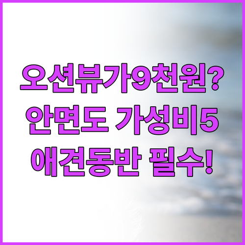 태안 안면도 가성비 숙소 베스트 5 ..