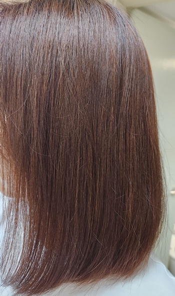 제이숲헤어팩도포후