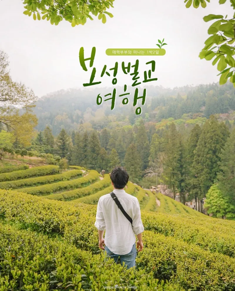 보성 가볼만한곳 베스트10 현지인 추천 필수코스_2