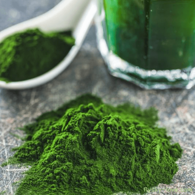 면역력 높여주는 클로렐라