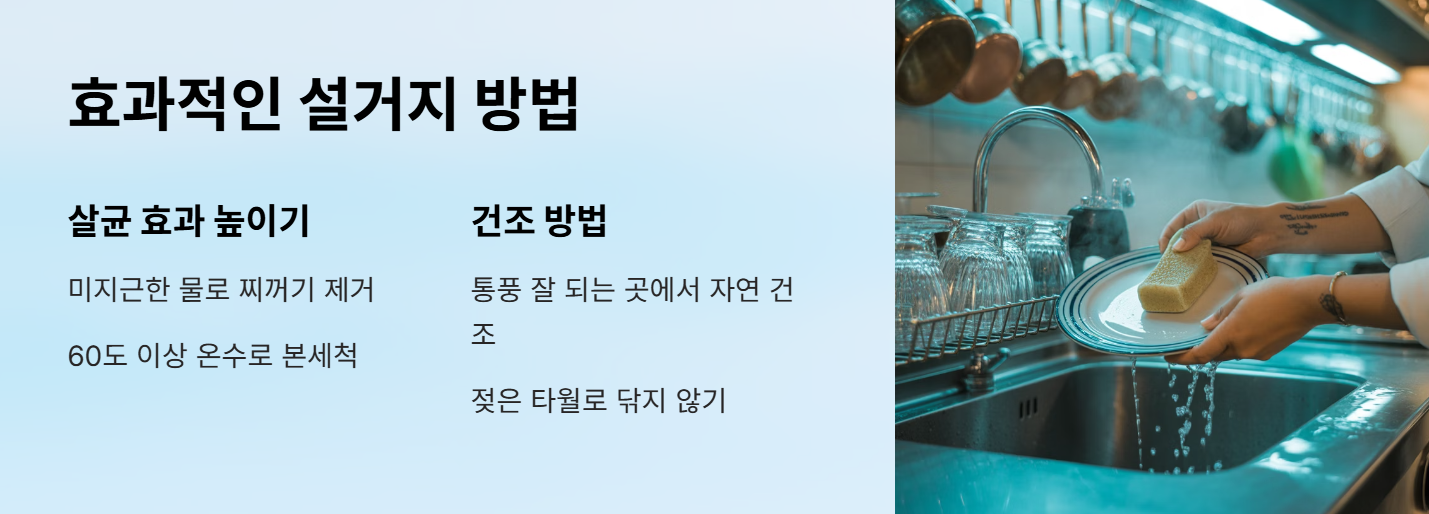 효과적인 설거지 방법