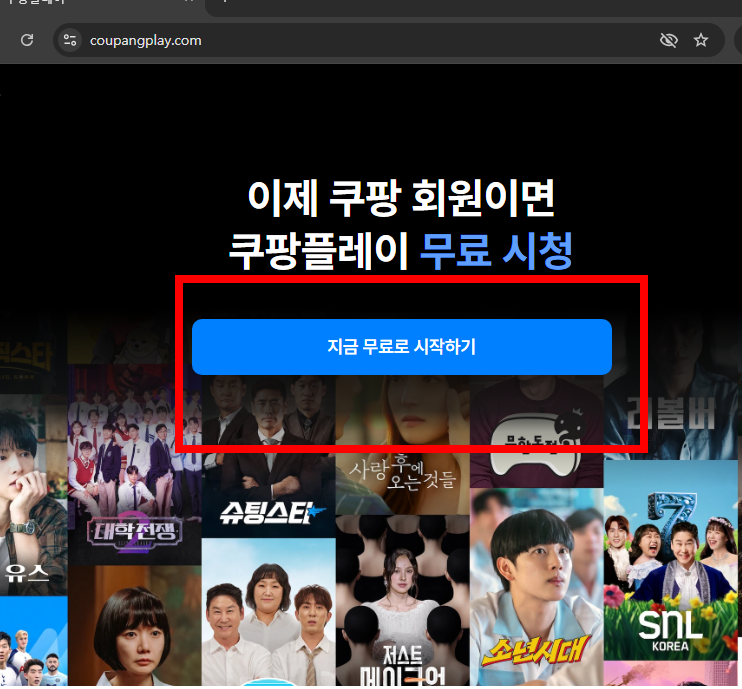 쿠팡 플레이 pc버전 홈페이지 소개