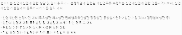 변리사 주요 업무