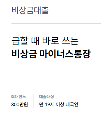 소액대출 300만원