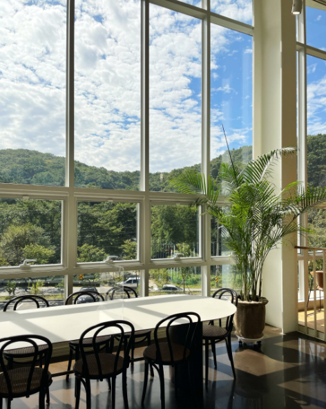 서울 근교 대형 카페 추천 TOP6 솔직 후기!