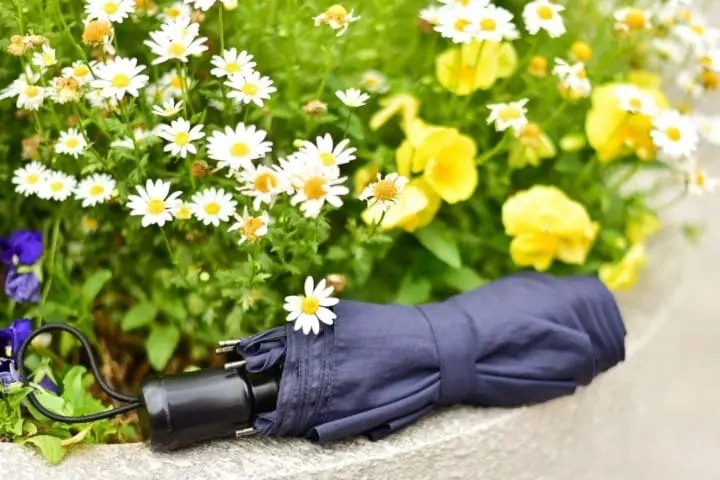 오키나와 5월 6월 7월 날씨 기온 복장 옷차림 정리 오키나와 자유여행 필수 체크