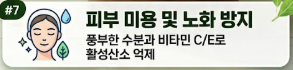 상추 효능