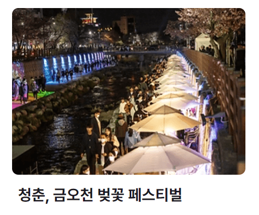 2024 벚꽃축제