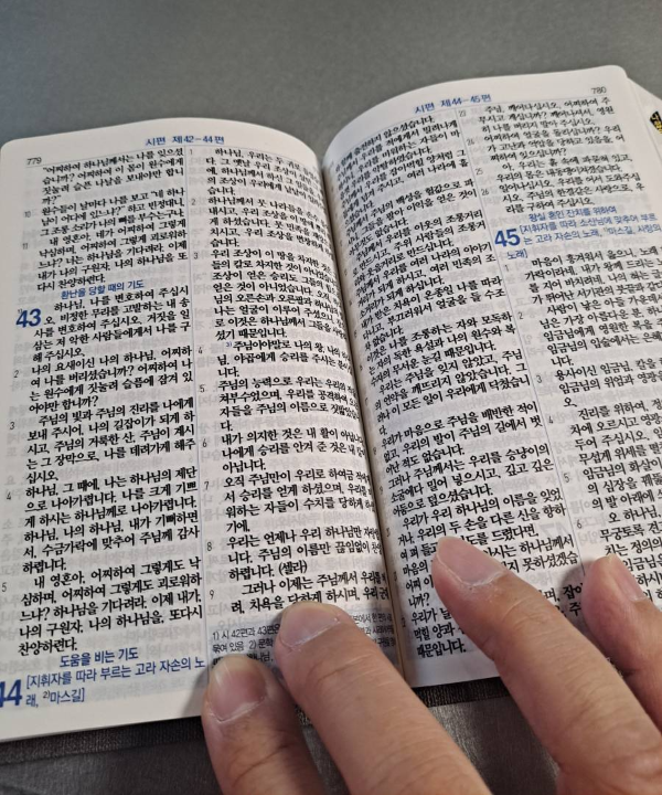 새번역성경 시편말씀