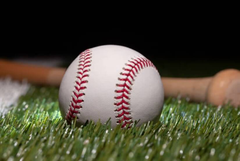 WBC 대한민국 경기일정