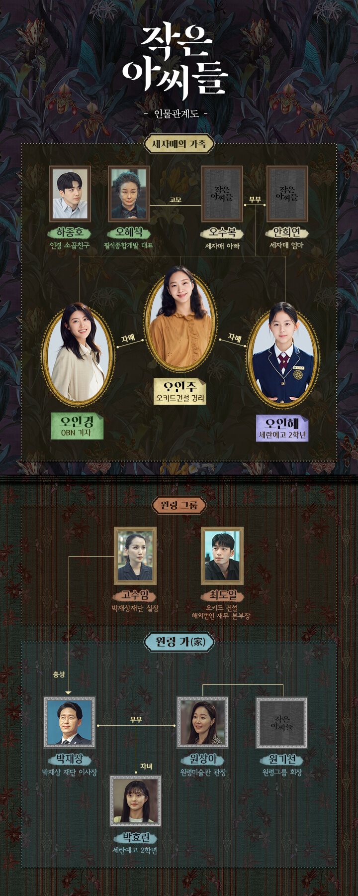 [드라마추천] 환혼 후속 작은 아씨들 몇부작, 줄거리 결말, 인물관계도, 등장인물