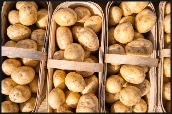찐감자 효능 1개 칼로리 보관법 맛있게 먹는법_22
