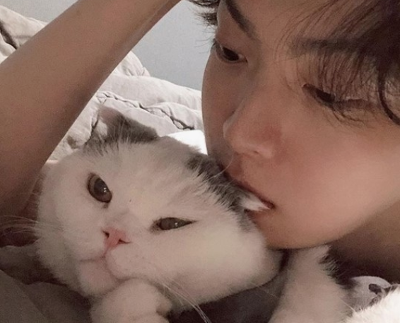 안재현과 고양이