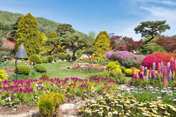 서울 근교 나들이 여행 경기도 4월 봄꽃축제 가볼만한곳 TOP 05 일정 장소 특징 정리