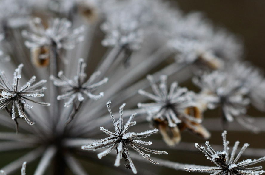 상강이란?(상강 뜻, 상강 한자, 상강 속담, 상강 날짜, 우리나라 24절기, 상강 절기, 상강 풍습, 상강 음식, 상강 양력, 상강 음력)