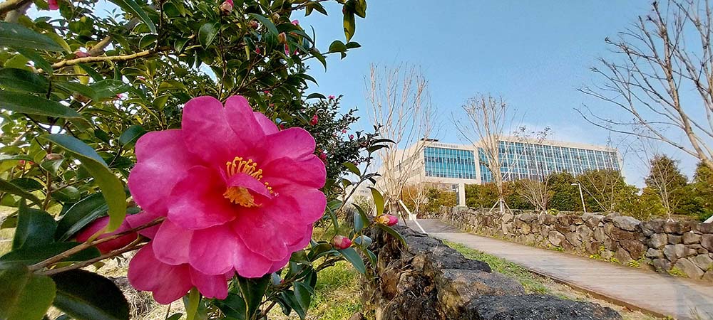 제주 서귀포 숲길