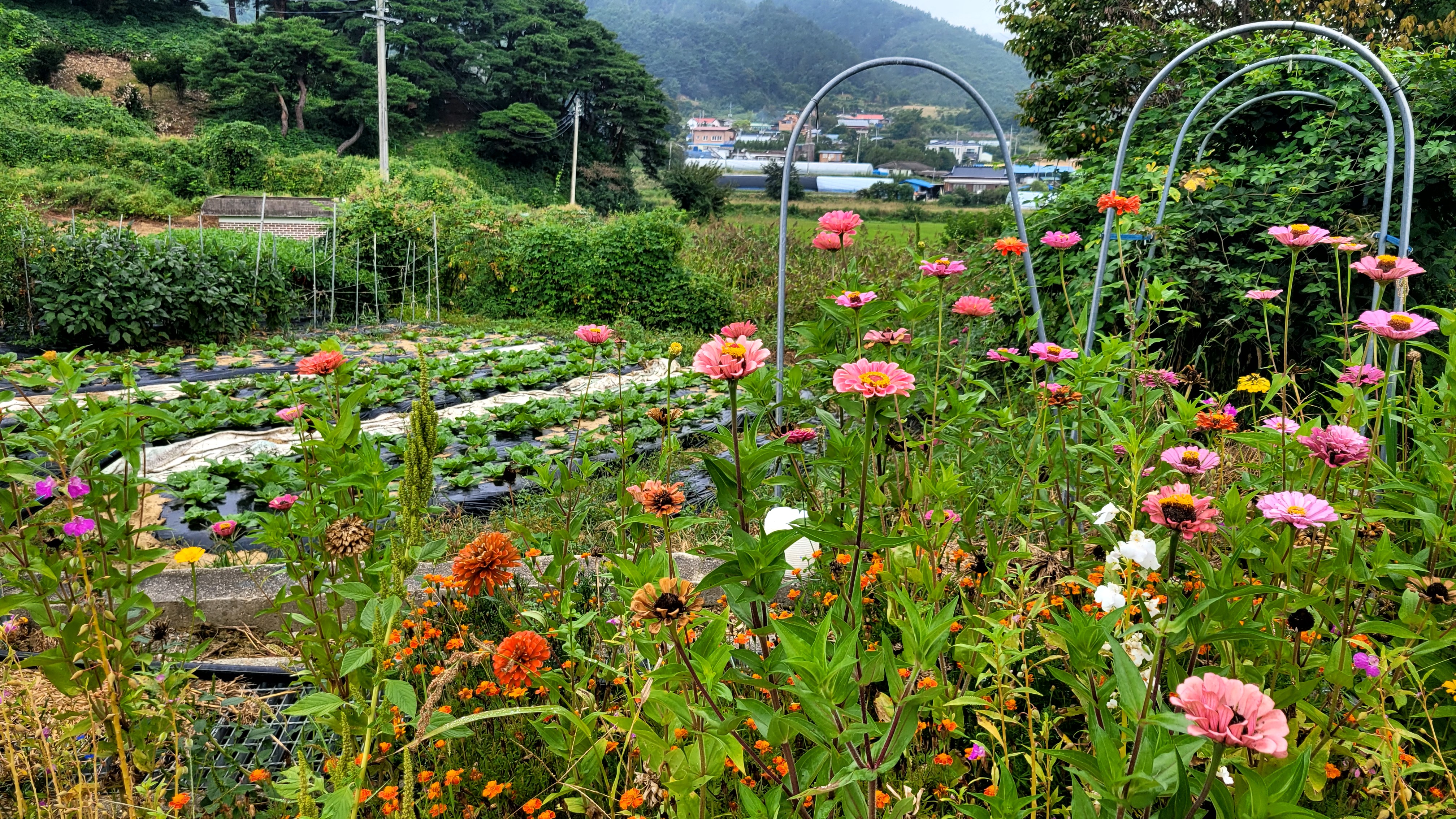 농촌에서 살아보기 첫 날, 우리는 무엇을 했을까?