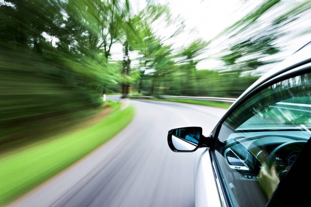 광복절-특사-명단-확인