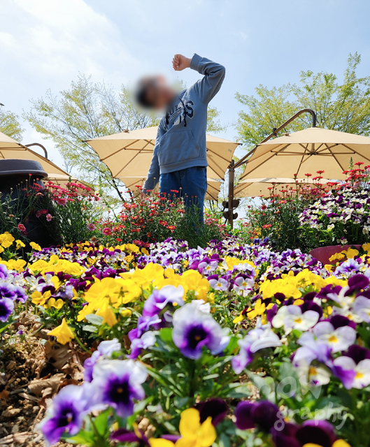 평택시-농업생태원