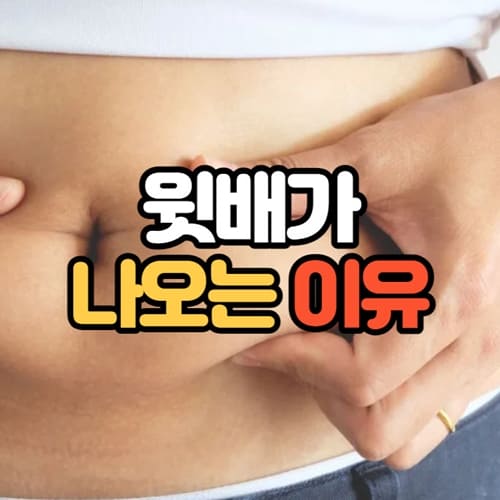 윗배