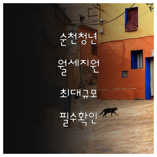 2026 순천시 청년 월세 지원 신청..