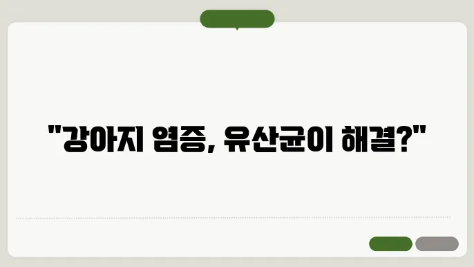 유산균으로 강아지 염증 잡기, 성공 사례는?