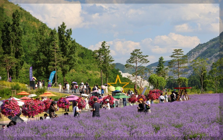 6월 국내 여행지 추천