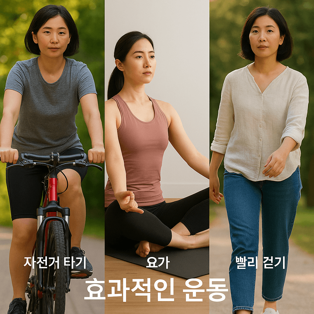 갱년기 혈관 적신호! 고지혈증 예방과 관리